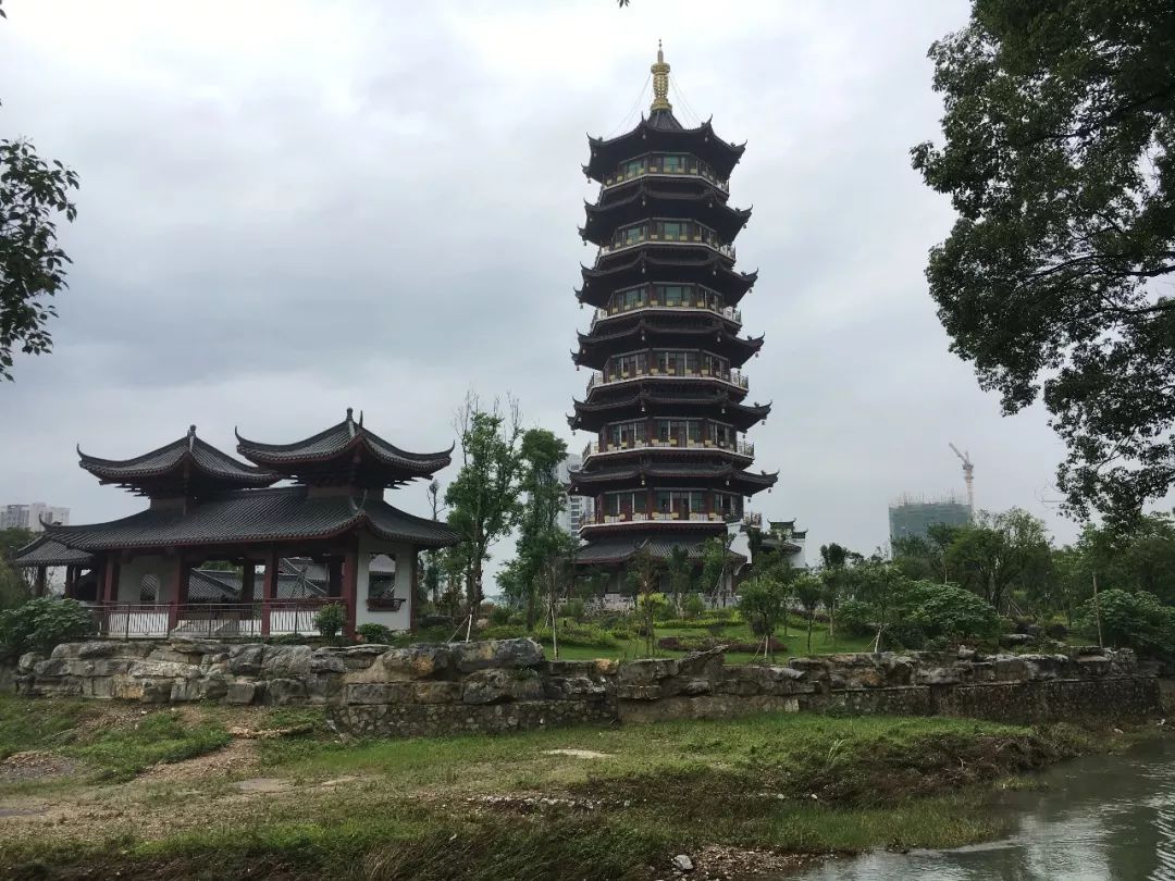 1675241404315341.jpg 甘棠.jpg