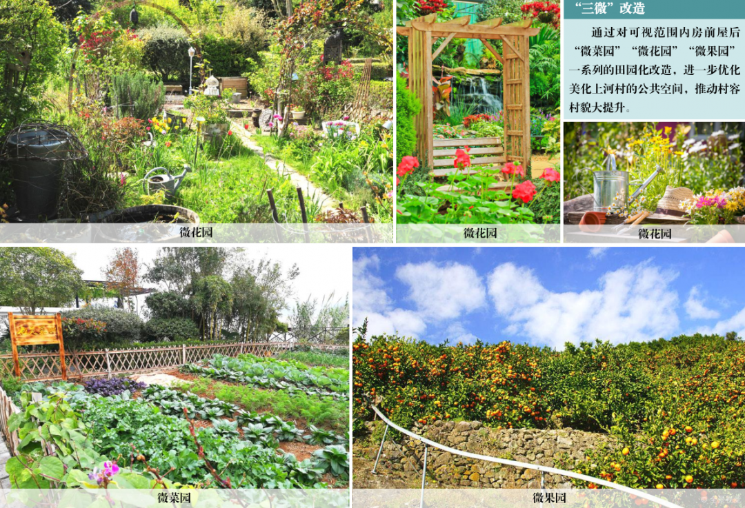 1675305818853464.png 平乐8.png