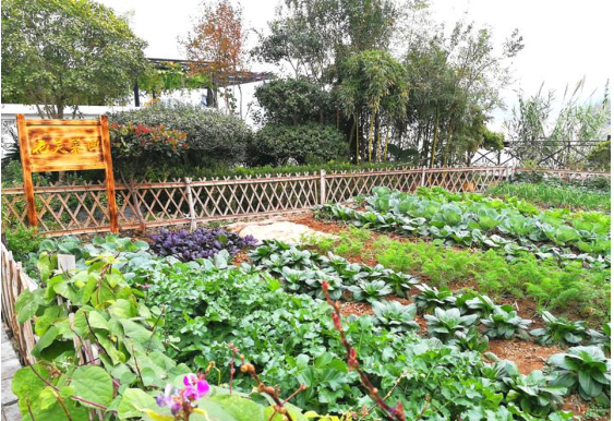 1675309079529509.png 平乐20.png