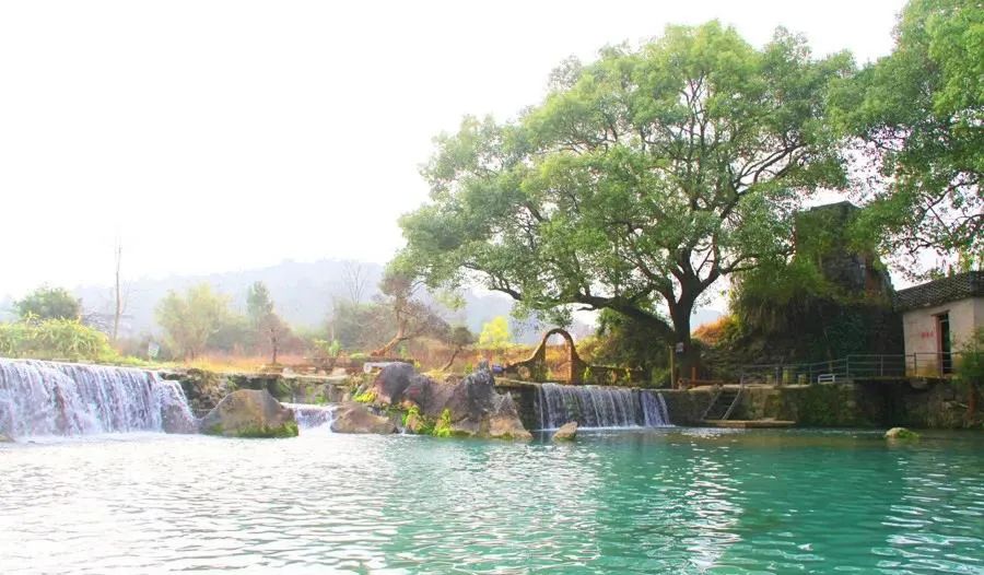 1675323210554428.jpg 640 (8).jpg